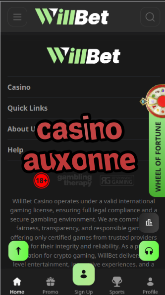 Casino Auxonne - Burgundy's Charming Casino-casinoorder.vip